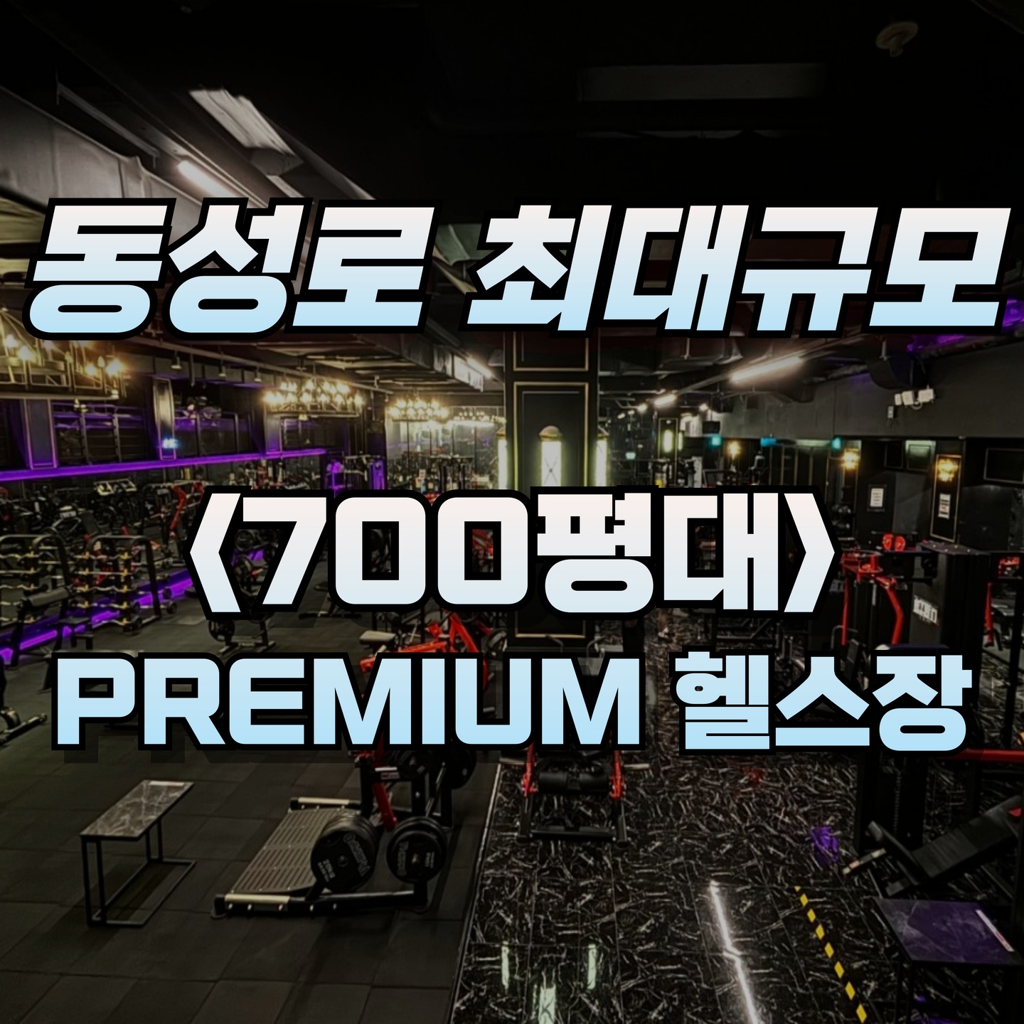 레드짐 동성로점