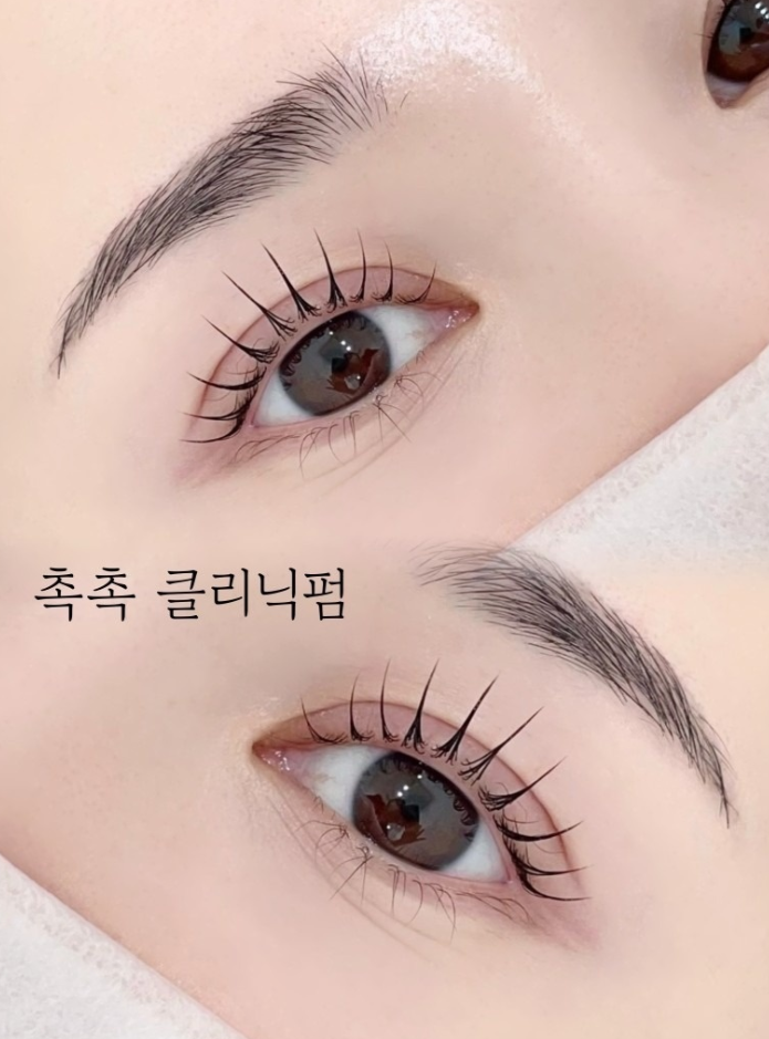 래쉬올린
