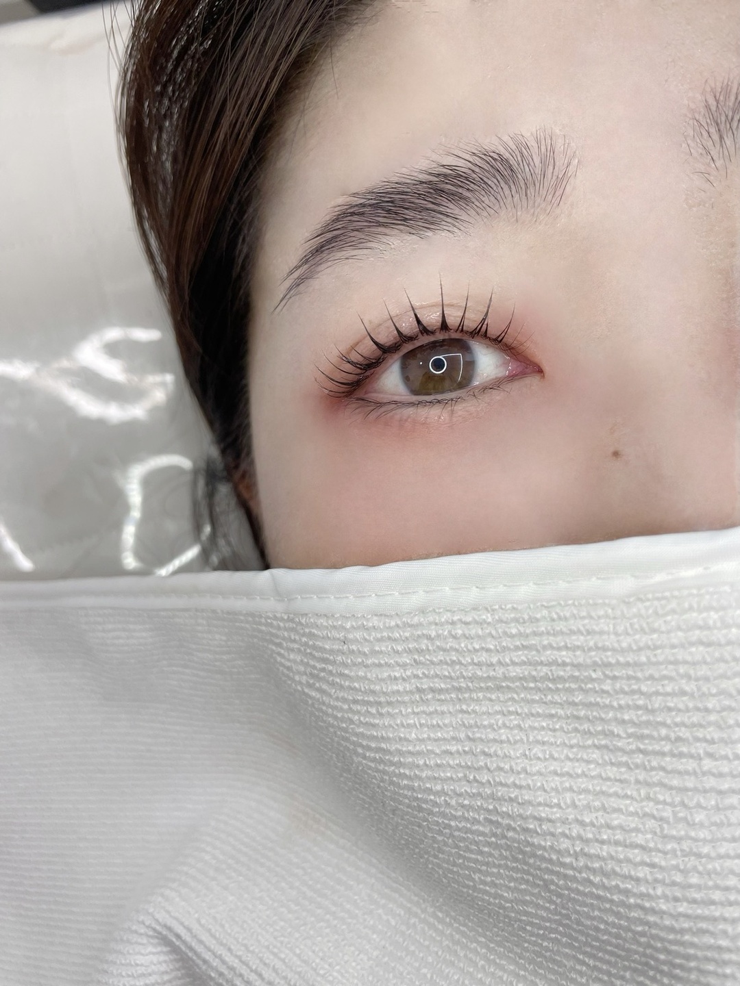 래쉬빈