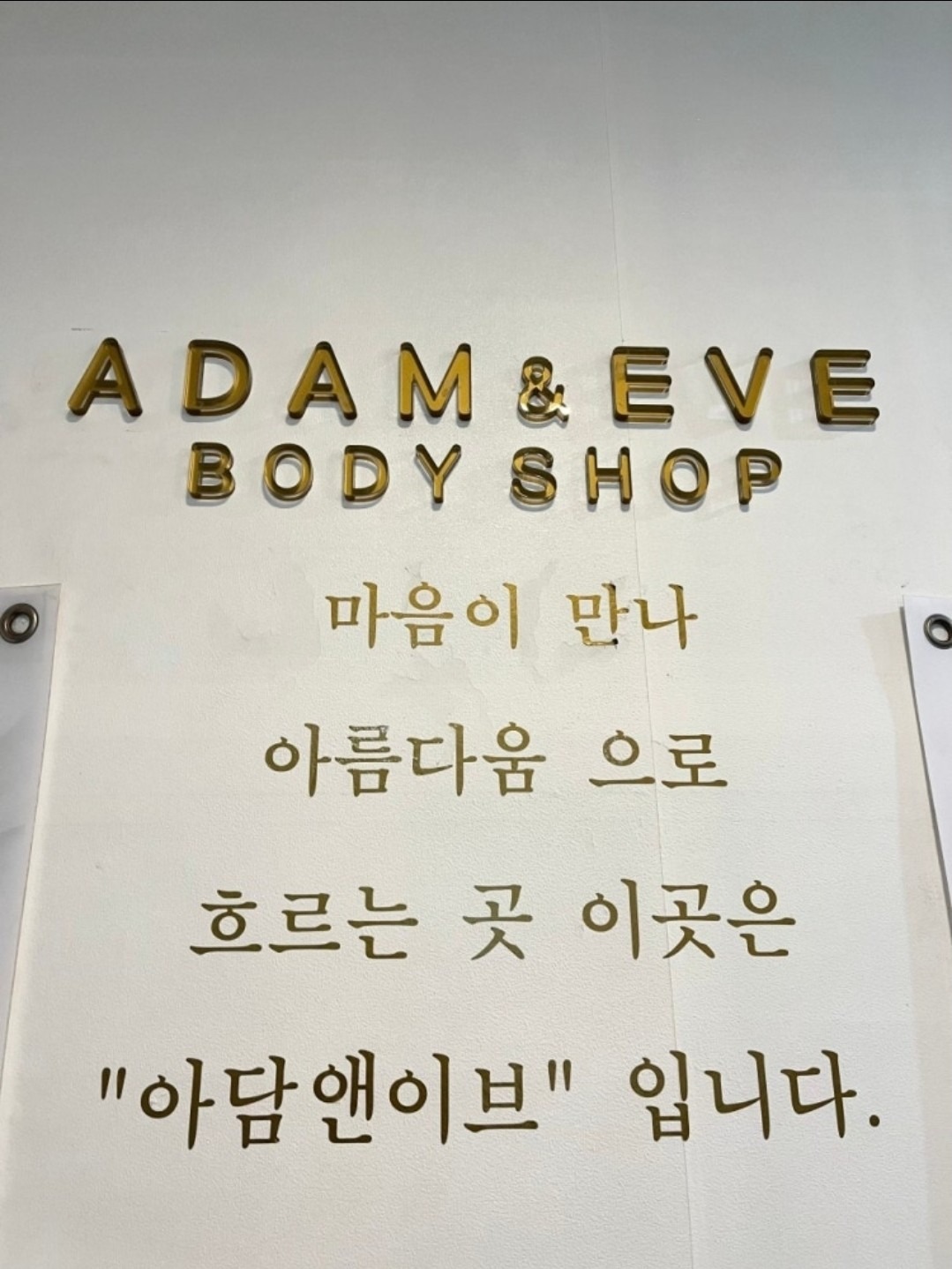 아담앤이브