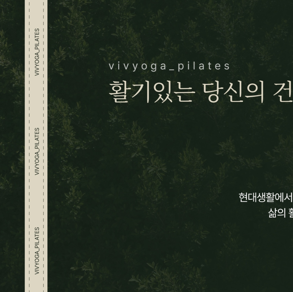 비브요가앤필라테스