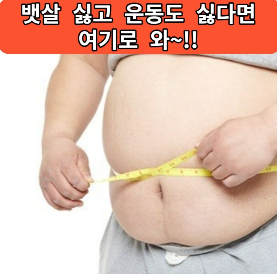 호리호리